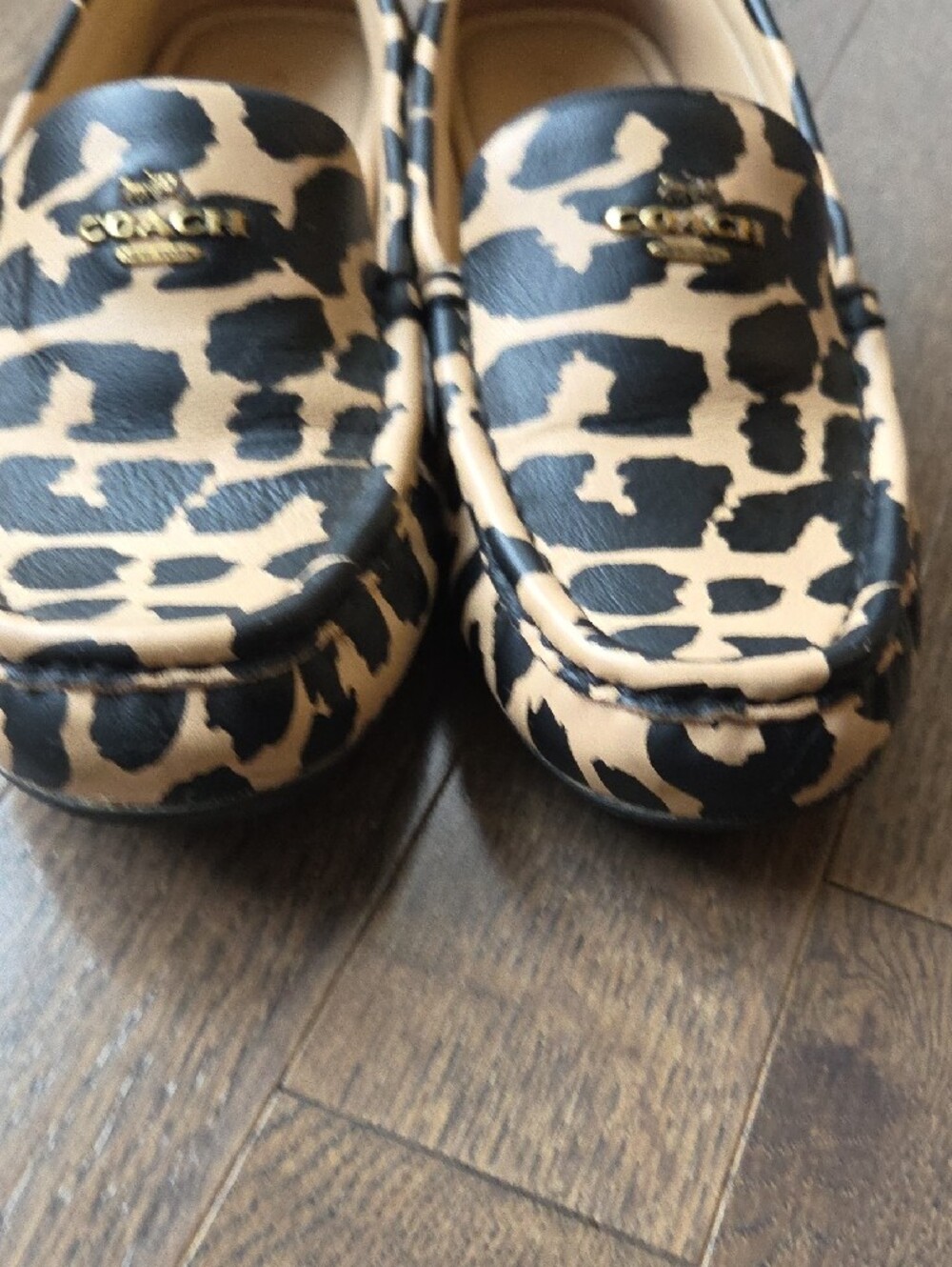 COACH Leopard-Print Leather Driving Loafers in Black and Beige - Picture 5 of 16